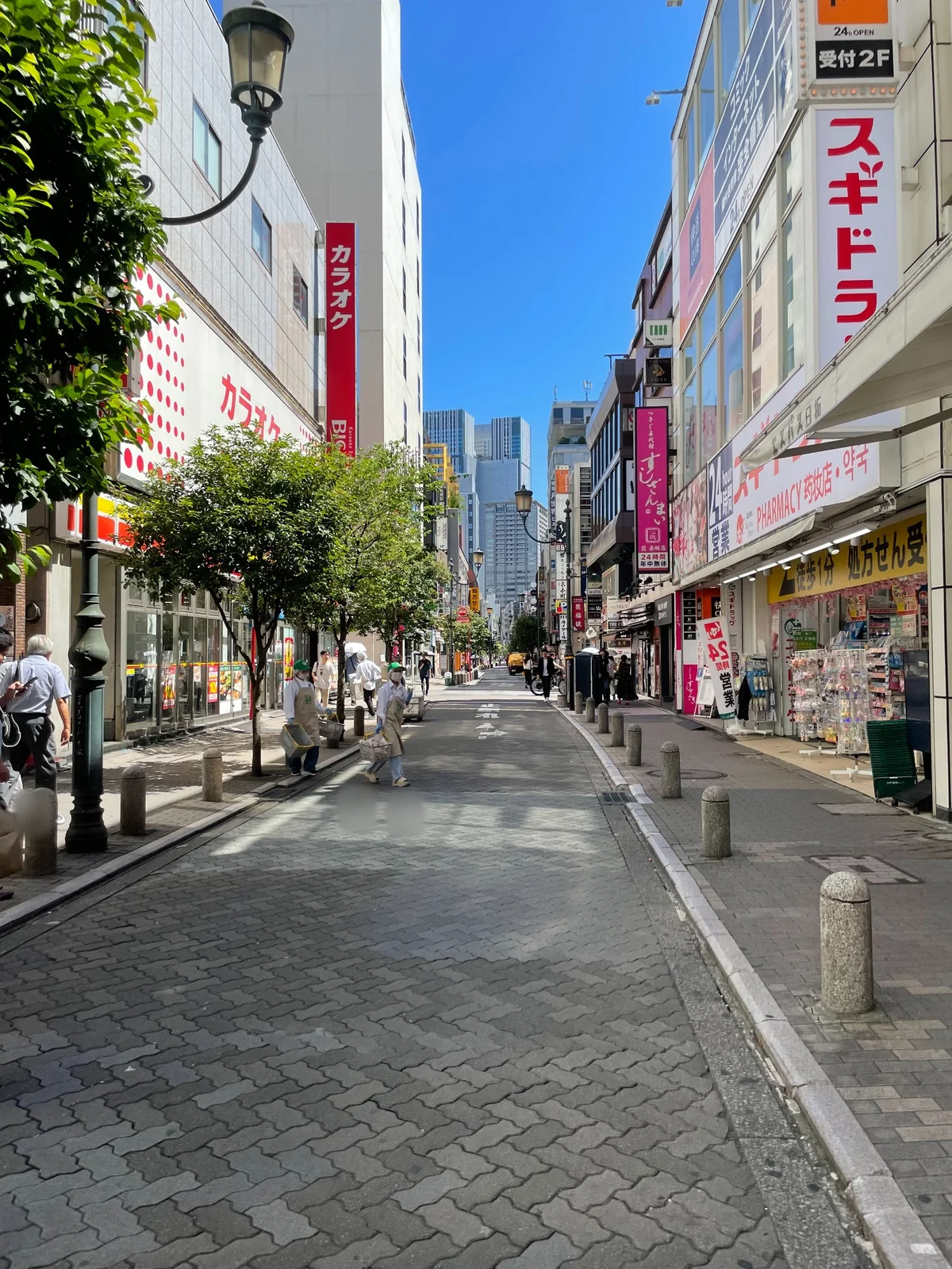 石畳の通り。右に「スギ薬局」、左に「カラオケ」の看板と街路樹