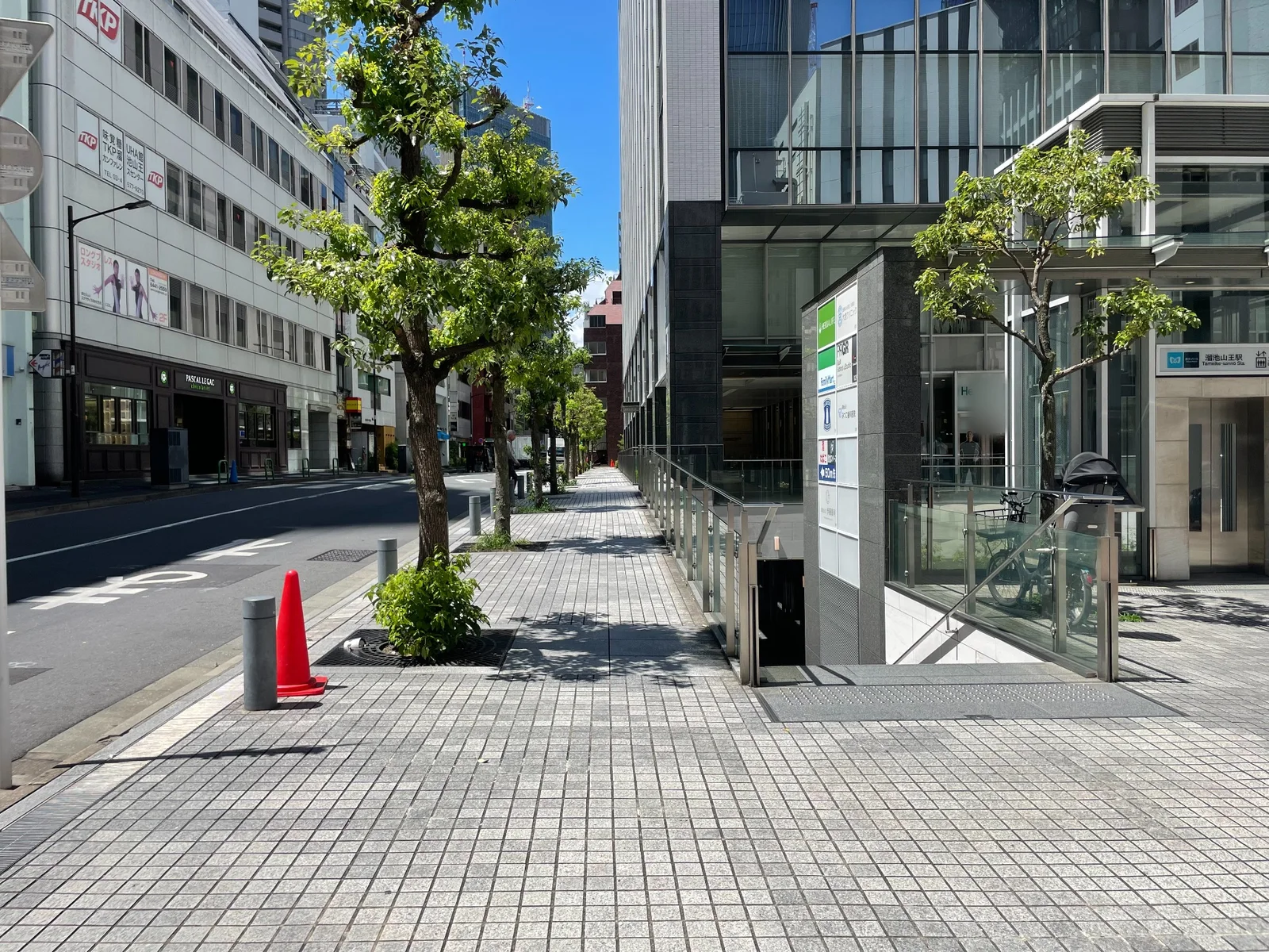 街路樹が並ぶ石張りの広い歩道。左に車道、右にテナント看板のあるビル入口